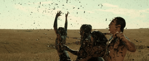 SEDlL0.gif