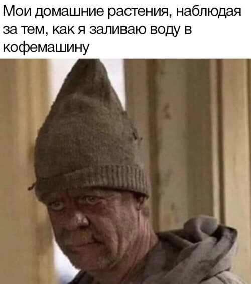 ShKYyb.jpeg