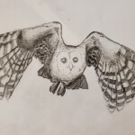 TMrJNr