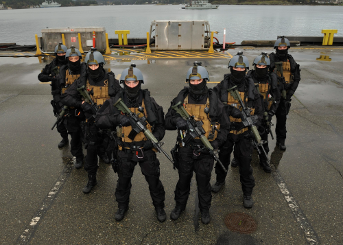 royal canadian navy boarding party