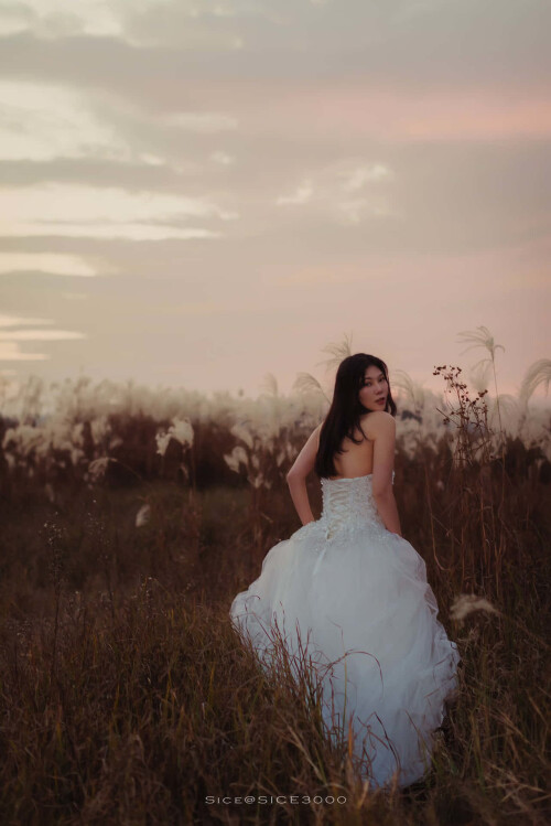 TdYgpA.jpeg