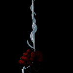 ThWSm7