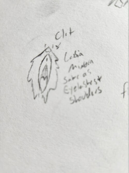 UBsDIb.jpg