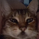 UwMVBe