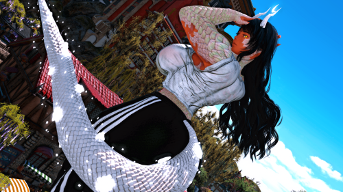 2025 11 29 16 52 55 261 Neneko x EC Vivid