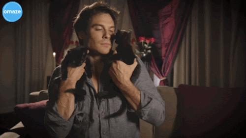 V8KtO9.gif