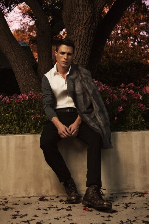 HQColtonHaynes 28729