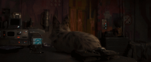 VLKaiq.gif