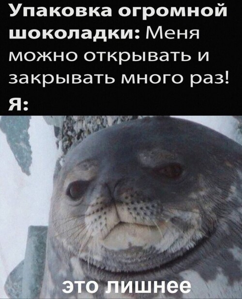 VivmH1.jpeg