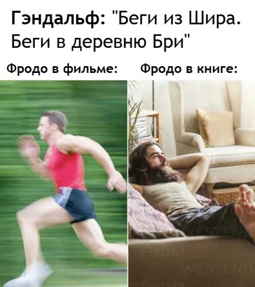 Vs234m.jpeg