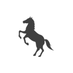 Xnyio2