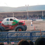 Y1zycc