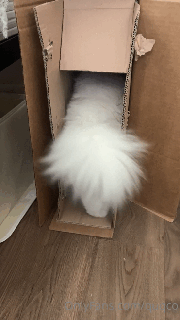 Y9W1Yb.gif