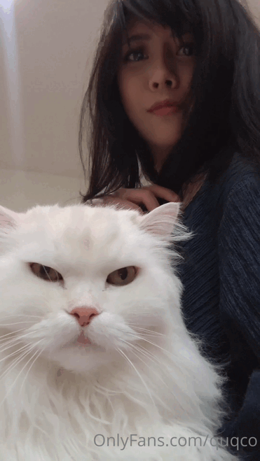Y9W7RH.gif