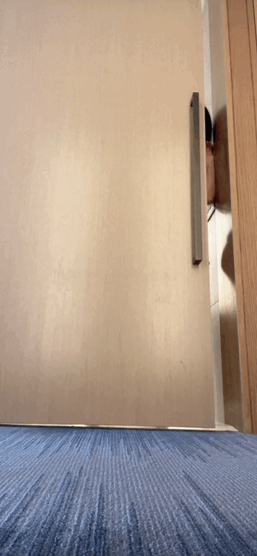 Y9ixiZ.gif