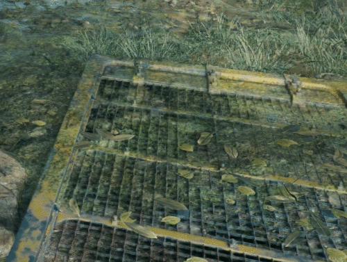 Yisq1q.gif