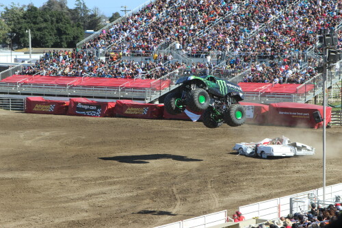 IMG 8876
