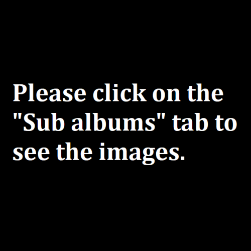 ZiE8c1.png