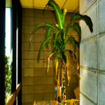ba4203