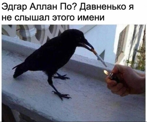 df35cv.jpeg