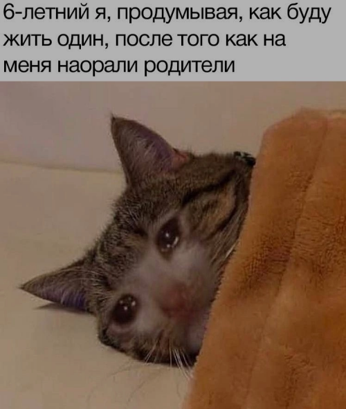 df3YTx.png