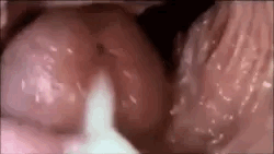 fL5J0q.gif