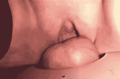 fLwxFc.gif