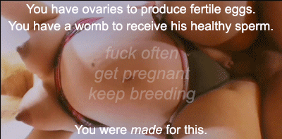 fLxTQ7.gif