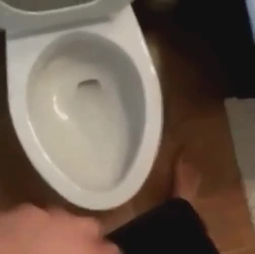 feEI5v.mp4