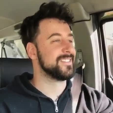 fedLVT.mp4