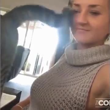 fedY57.mp4