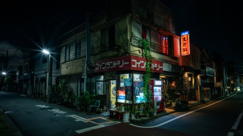 4096 x 2304, city, katakana, street, night, store front, neon, lights, urban, stores, plants, wallpaper, background, wallhaven