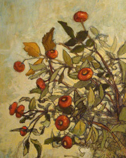 rosehips radoccia 250