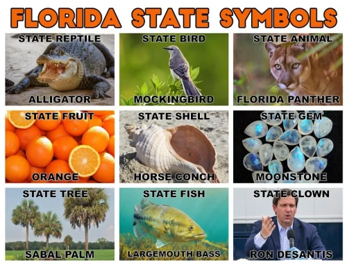 Florida State Symbols