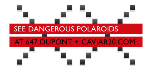 dangerouspolaroidslastcall11