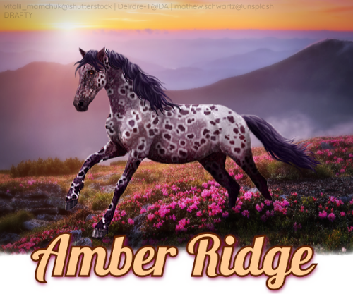 amber ridge bio