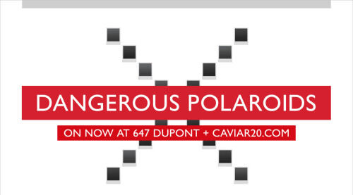 dangerouspolaroids1 1