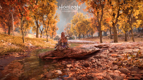 Horizon Forbidden West 20220218124948