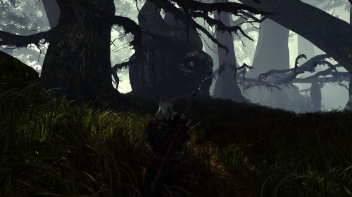 The Witcher 2 Assassins of Kings Screenshot 2022.03.30 20.52.30.05