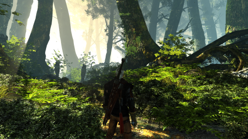 The Witcher 2 Assassins of Kings Screenshot 2022.04.02 15.09.35.63