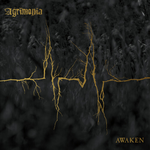 Awaken by Agrimonia