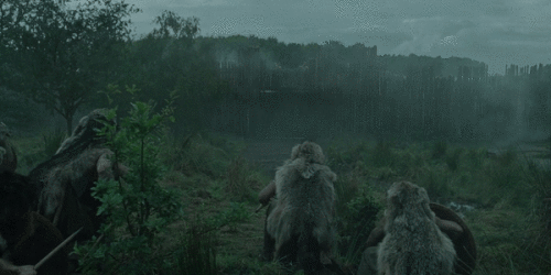 kBBmFo.gif