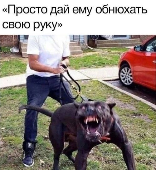 kZoNKv.jpeg