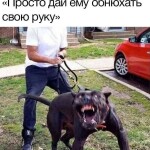 kZoNKv