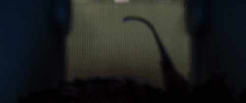 kmICnD.gif