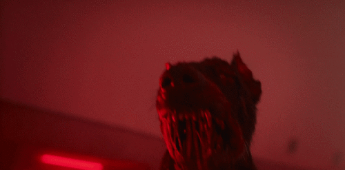 kmuqN9.gif