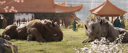 kq6dM7.gif