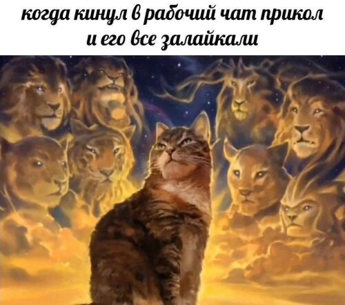 l1lf21.jpeg