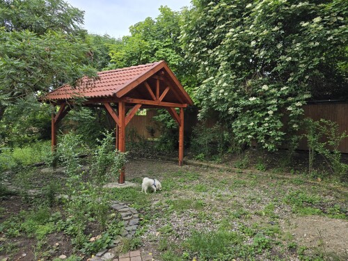 lMaM5o.jpeg