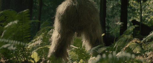 lS3Ws5.gif